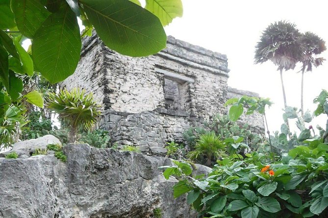 Tulum Ruins Tour (Private, Half Day) - Price and Value: Is $169 Per Person Worth It?