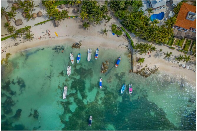 Tulum Ruins, Turtles in Akumal and Cenote tour - Key points worth knowing before you go