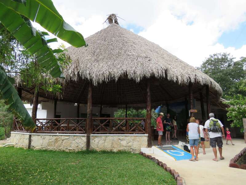 Tulum: Sian Ka'an Biosphere Reserve Kayak Tour - Wildlife and birds: what you can realistically spot (and how)