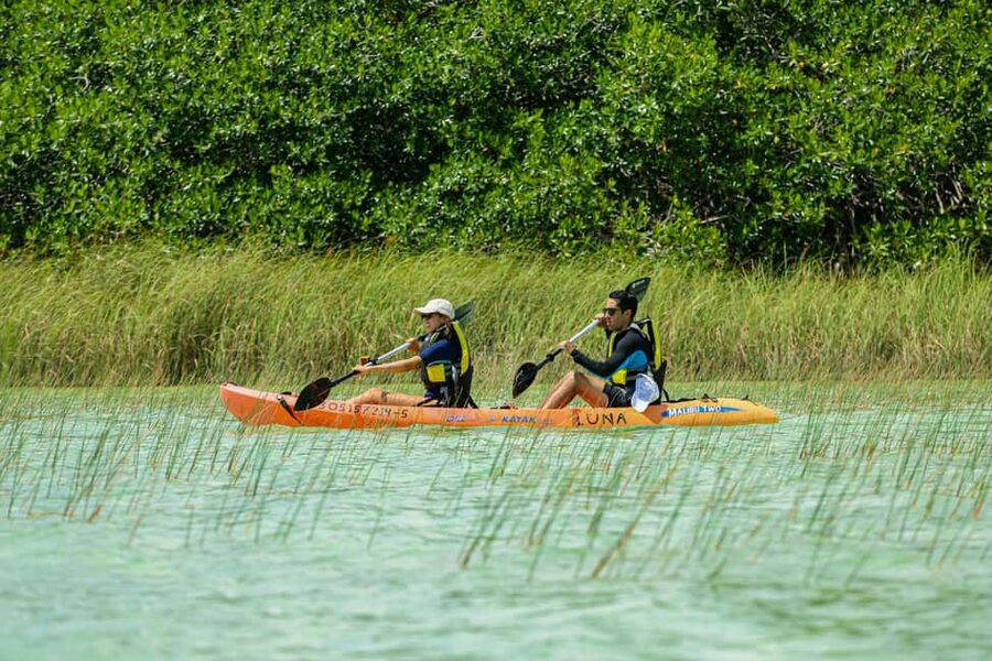 Tulum: Sian Ka'an Biosphere Reserve Kayak Tour - Price and value: what you’re paying for (and what costs extra)