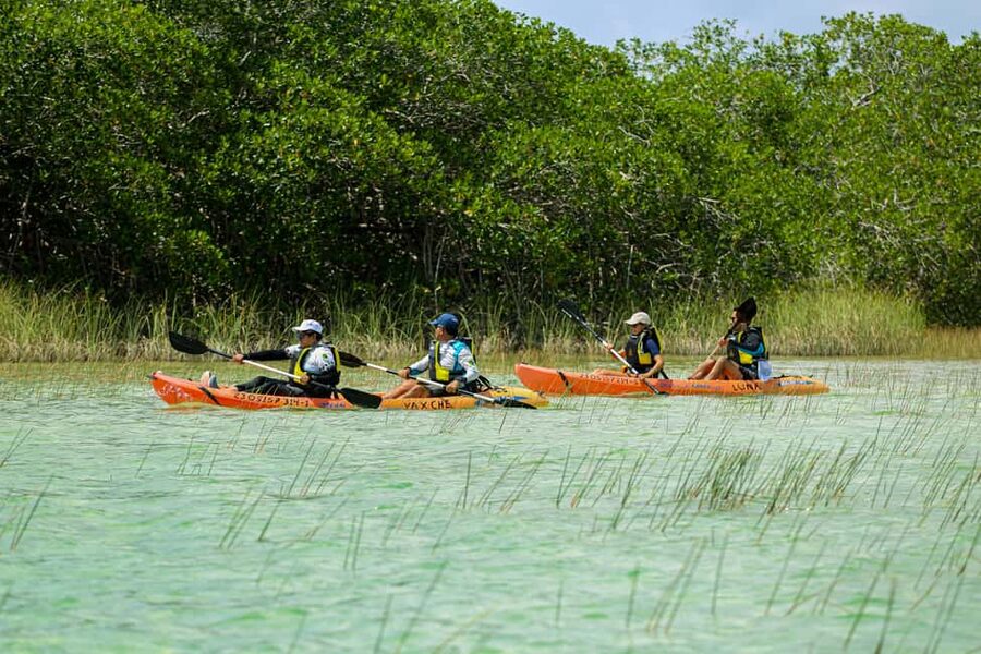 Tulum: Sian Ka'an Biosphere Reserve Kayak Tour - Getting from Tulum: the early start and how the timing really feels