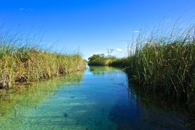 Tulum Sian Ka'an Muyil Ruins, Boat Eco Tour & Float Down Mayan Canals - Lunch - Who this tour suits best (and who may want to adjust expectations)