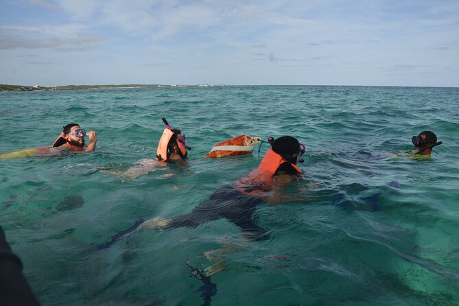 Tulum: Snorkeling and Private Sailing Tour - Snorkeling at the reef: easy, safe, and often surprisingly calm