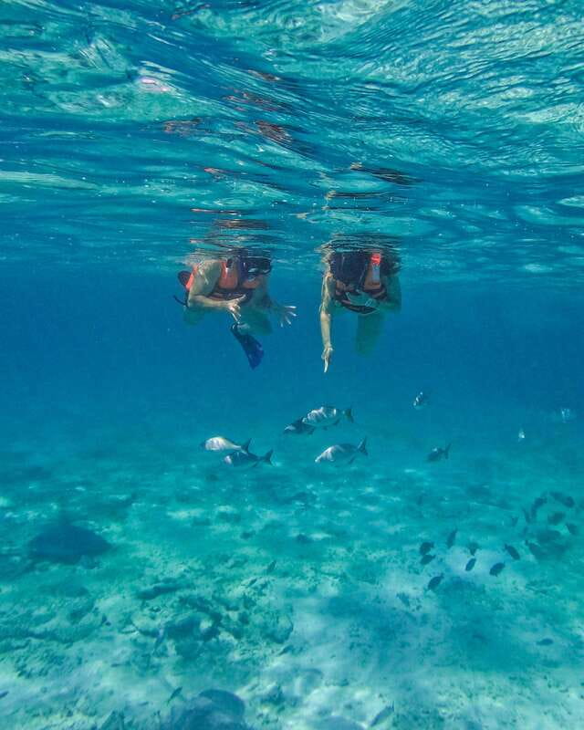 Tulum: Snorkeling at Paradise Reef - Who This Snorkeling Tour Is Best For