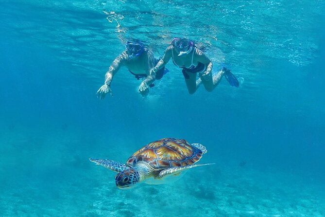 Tulum, Snorkeling with Sea Turtles, Cenote and Beachside Lunch - A one-day Tulum plan that actually makes sense