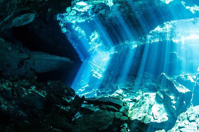Tulum Turtle Encounter - The Best Private Turtles Snorkel Tour - Lunch, tacos, and snacks: the part you’ll actually remember