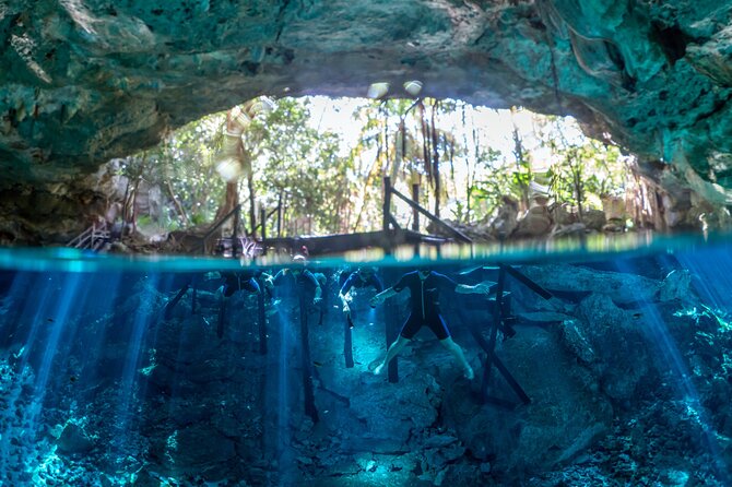 Tulum Turtle Encounter - The Best Private Turtles Snorkel Tour - Who this tour is best for