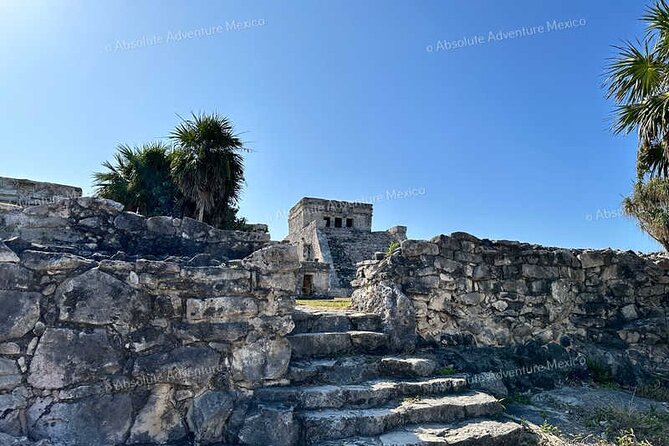 Tulum VIP Private Tour with Sea Turtles & Cenote – Award-Winning - Should you book the Tulum VIP Tour with Sea Turtles and Cenote?