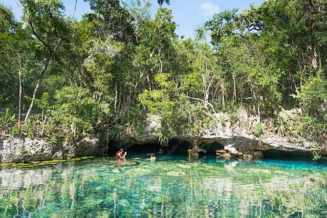 Turtle Encounter Private Tour – Swim with Sea Turtles & Cenote - Private Pickup From Playa del Carmen to Tulum (And When to Go)