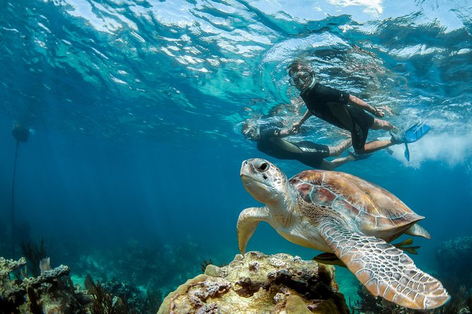 Turtle Encounter Private Tour – Swim with Sea Turtles & Cenote - Cenote Taak Bi Ha and the Other Cenote Options You Can Choose