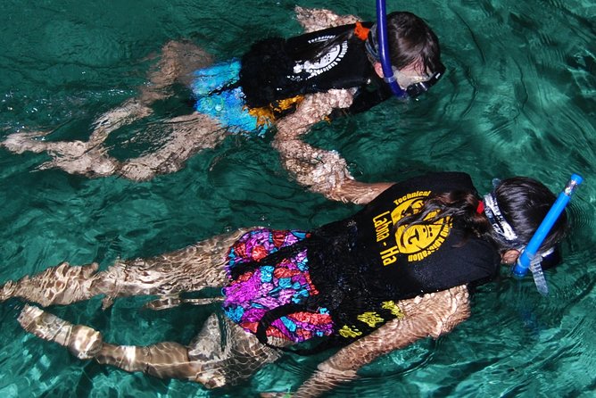 Turtle Snorkeling Adventure from Cancun - Why this turtle-and-cenote combo makes sense