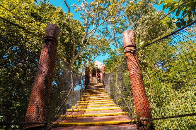 Turtle Snorkeling and Jungle Adventure with Cenote - Pickup timing: how early you’ll start and how to plan it