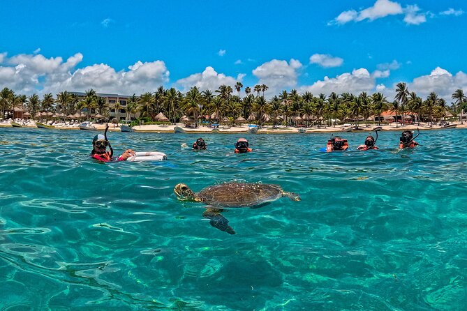 Turtle Snorkeling and Jungle Adventure with Cenote - Stop 1: Akumal Bay turtle snorkeling for about 2 hours