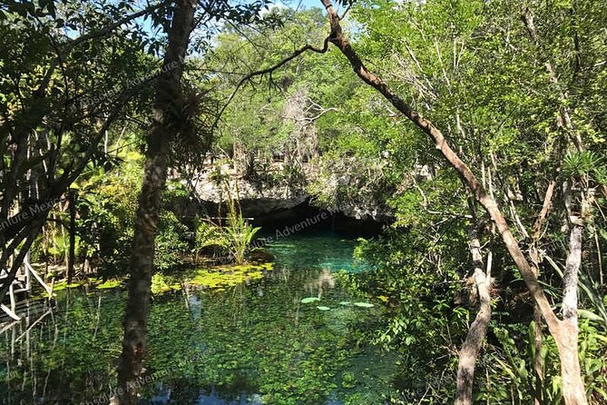Turtle Snorkeling Private Tour – Sea Turtles & Cenote in Tulum - Price of $197: What You Get for a Half-Day Private Tour