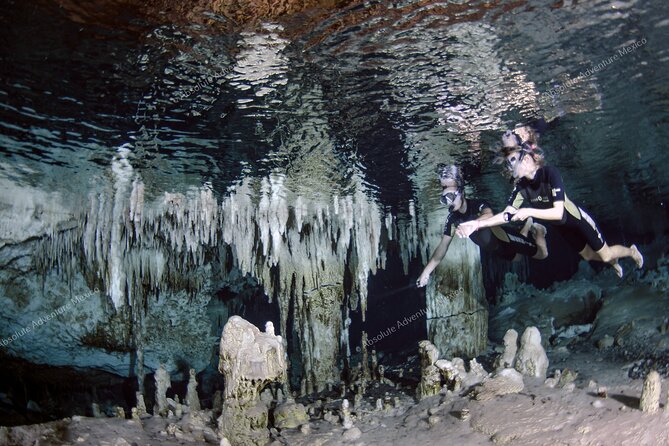 Turtle Snorkeling Private Tour – Sea Turtles & Cenote in Tulum - Water Comfort, Weather, and Safety: The Stuff That Makes or Breaks It