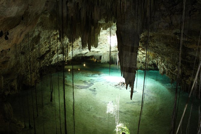 Turtles and Cenote snorkeling activity from Riviera Maya - Swimming with turtles in their habitat: how to maximize your chances
