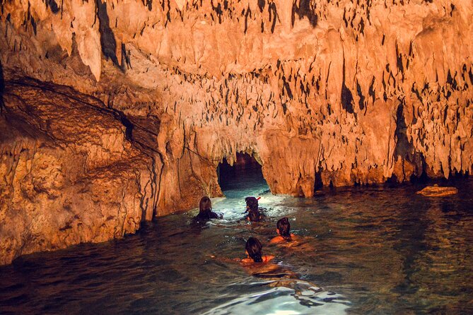 Turtles & Cenote! Half Day from Riviera Maya & Playa del Carmen - What to Expect at Each Step of the Tour