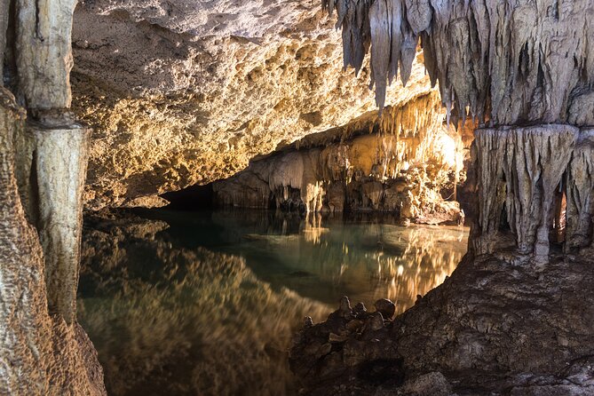 Turtles & Cenote! Half Day from Riviera Maya & Playa del Carmen - Should You Book This Turtles & Cenote Tour?