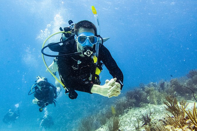 Two reef discovery dives with professional instructor (no experience necessary) - First Steps in the Pool: Confidence Starts Here