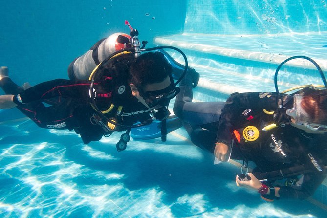 Two reef discovery dives with professional instructor (no experience necessary) - “No Experience Necessary,” But Comfort Still Counts