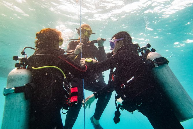 Two reef discovery dives with professional instructor (no experience necessary) - The Reef Day Plan: Training, Lunch, Then Two Ocean Excursions