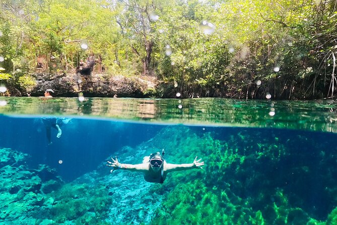 VIP Cenotes & ATVs Private Tour - Price and Value: What $310 Buys You (and What It Doesn’t)