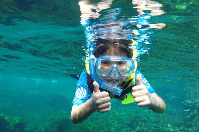 VIP Cenotes Private Tour - Cenote Xunaan Ha: Jumping and Swimming in an Open Cenote