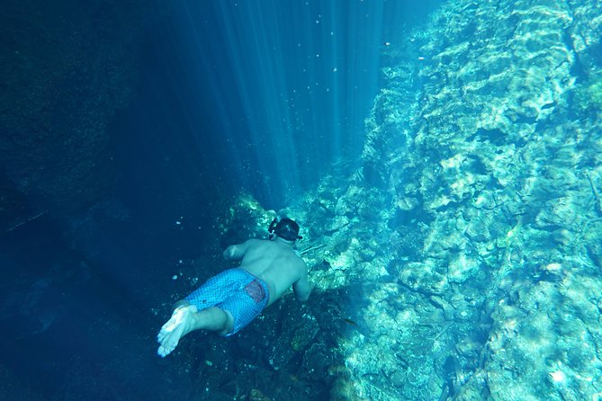 VIP Cenotes Private Tour - Price and Logistics: Is $205 Worth It for a Private Cenote Day?