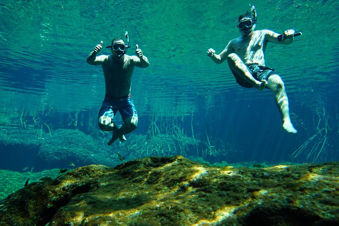 VIP Cenotes Private Tour - Who This Tour Suits Best (and Who Might Want to Rethink It)