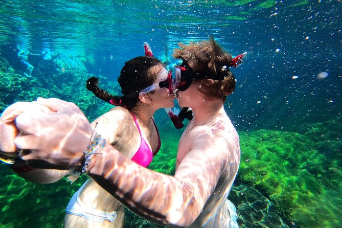 VIP Cenotes Private Tour (half-day) - Pickup From Cancun, Playa del Carmen, Tulum, and the Riviera Maya