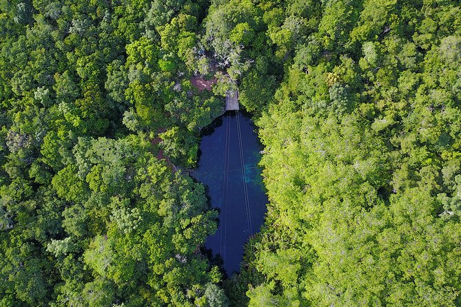 VIP Cenotes & Turtles Private Tour - Cenote Xunaan Ha: the open-air jungle stop and jumping energy