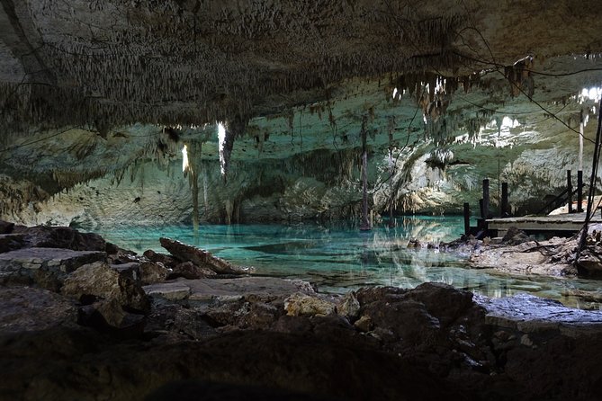 VIP Coba & Tulum Private Tour - The fresh ceviche stop: the meal you’ll remember