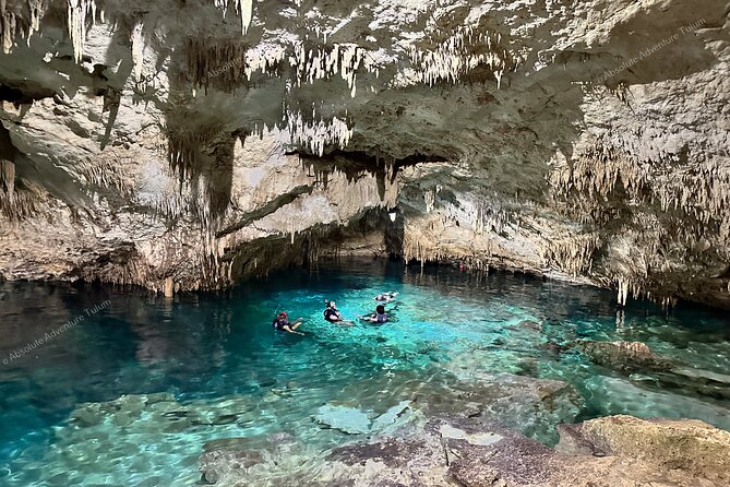 VIP Tulum Ruins Private Tour with Snorkeling in Stunning Cenote - Price and value: why $223 can make sense for a private day