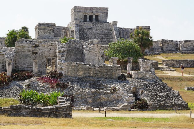 VIP Tulum & Turtles Private Tour - Private transportation and pickup: how to plan your morning