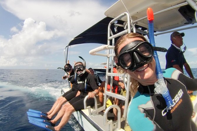 Whale shark encounter Private tour - swim with whale shark cancun - Wildlife Beyond Whale Sharks: Mantas, Turtles, Dolphins