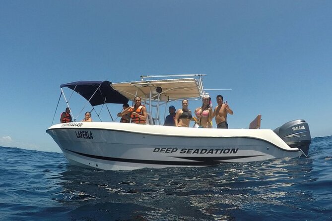 Whale Shark Experience from Playa del Carmen - Snorkeling Gear and What You’ll See at Close Range