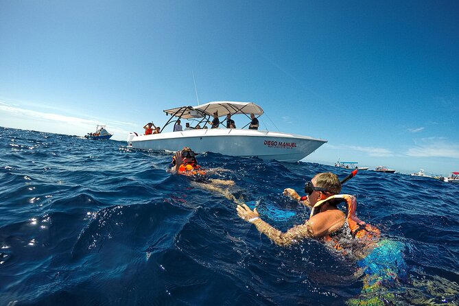 Whale Shark Snorkeling Adventure with Lunch - Whale shark snorkeling: what the encounter feels like in real terms