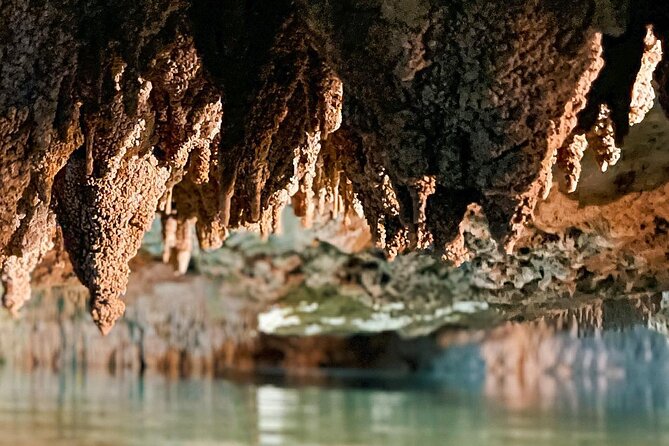 Wild Jungle ATV Adventure with Cenote and Monkey Sanctuary - What the Jungle ATV Actually Feels Like