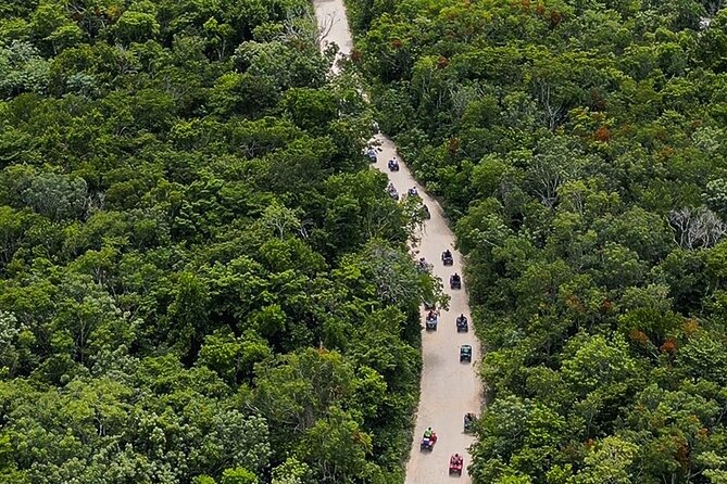 Wild Jungle ATV Adventure with Cenote and Monkey Sanctuary - Mosquitos, Cold Water, and Other Real-World Tips