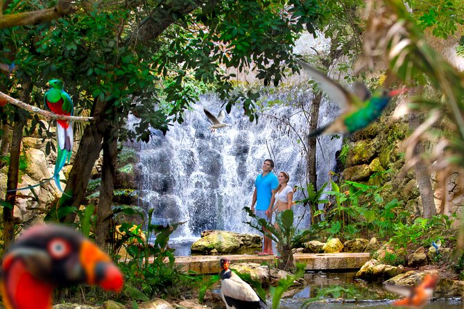 Xcaret Park Plus Access with Transportation and Night Show - Lunch and Drinks: Planning That Saves You Time