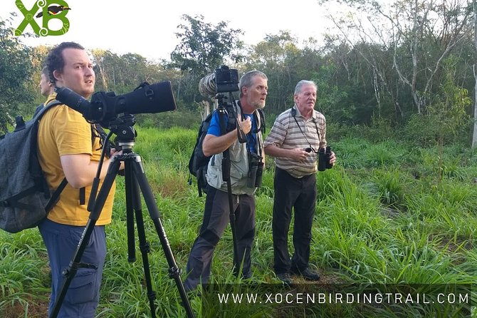 Xocen Birding - Key points to know before you go