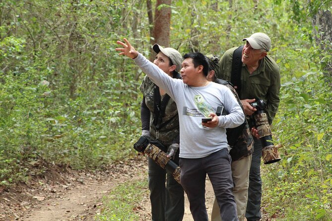 Xocen Birding - The birds: what you can hope to see on this trail