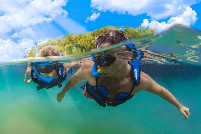 YAL-KU Park in Riviera Maya Admission Ticket - Why Yal-Kú Park tickets feel like a smart shortcut in Playa del Carmen